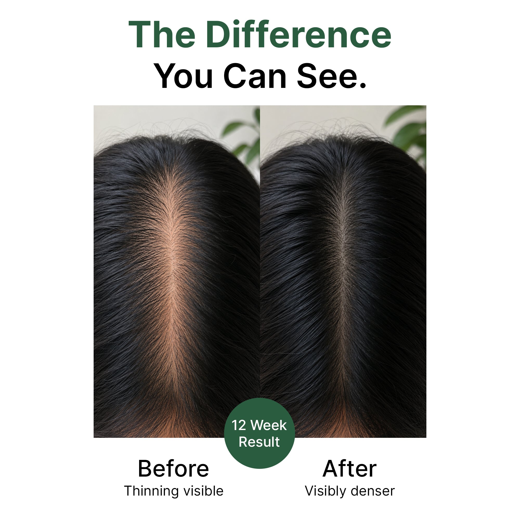 Rosemary + Peptides Hair Oil Serum